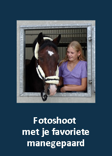 fotoshoot favoriete paard