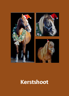 Kerstshoot