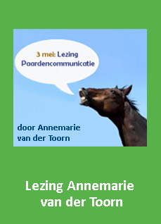 Lezing
