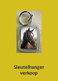 Sleutelhanger verkoop